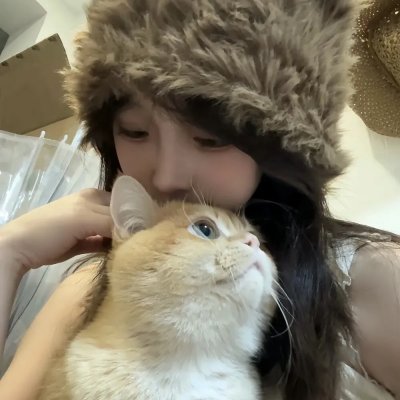 猫儿历险记国语